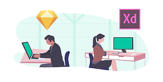 Experience in Software Outsourcing